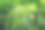 生物实验室自然与科学，绿色背景下具有生物化学结构的植物。图片下载