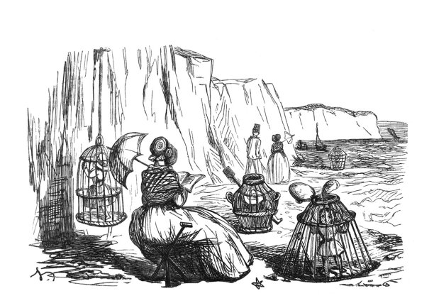 英国讽刺漫画漫画插图-保姆在海边看书，孩子们在笼子里图片下载