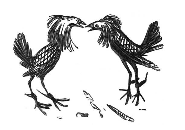 英国讽刺漫画漫画插图-两只鸡面对着另一只图片下载