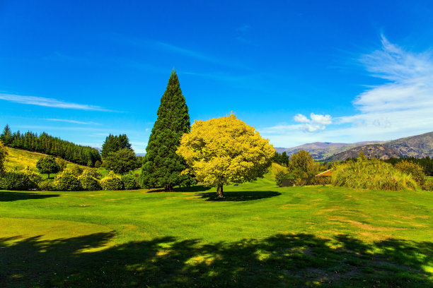 美好的一天图片下载