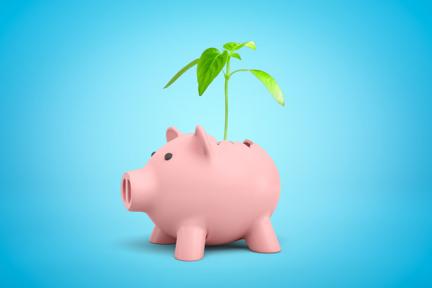绿色的芽生长在粉红色的小猪储蓄罐在蓝色的背景的3d渲染图片下载