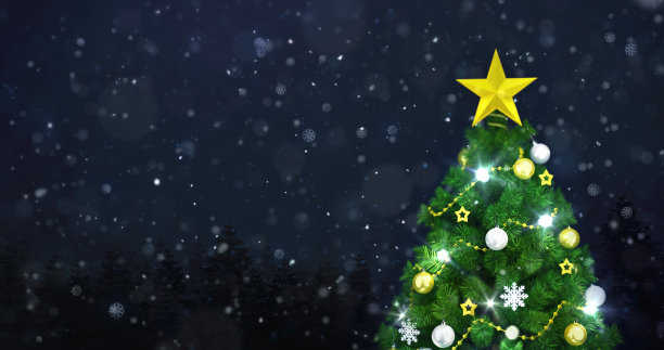 装饰圣诞树在冬天雪林里的夜晚降雪，树顶特写图片下载