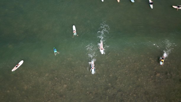 抓住机会图片下载