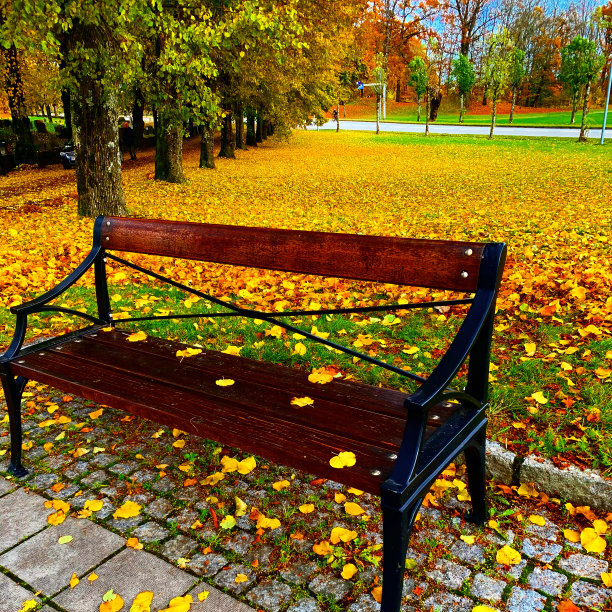 空的秋天图片下载