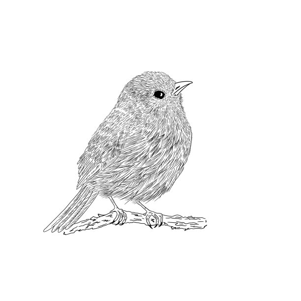 鸟插画素材ID：345828324