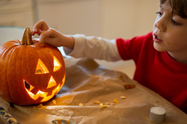 南瓜雕刻的乐趣图片下载