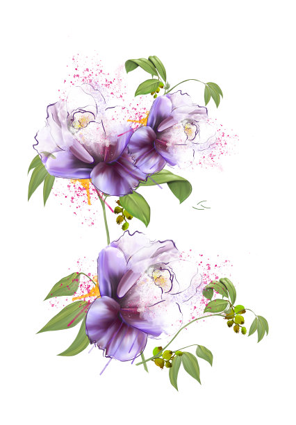 水彩花。有花的插图，色彩柔和的花朵，粉红色的玫瑰。孤立在白色背景上的花的分枝。叶和芽。可爱的组成为婚礼或贺卡。花束图片下载