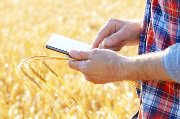 一位农民正在用他的平板电脑准备收割麦田图片下载
