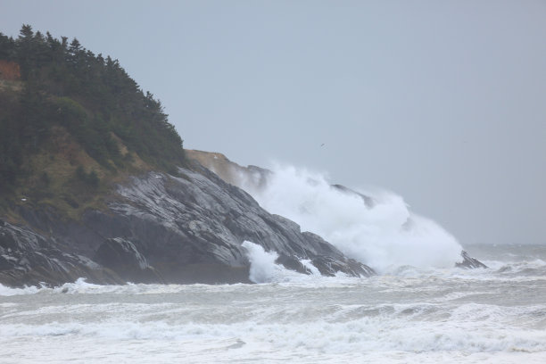 位于雅茅斯新斯科舍省福丘角的冲浪和海滨的风景图片。图片下载