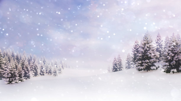 白雪覆盖的平原和森林的白色开阔景观图片下载