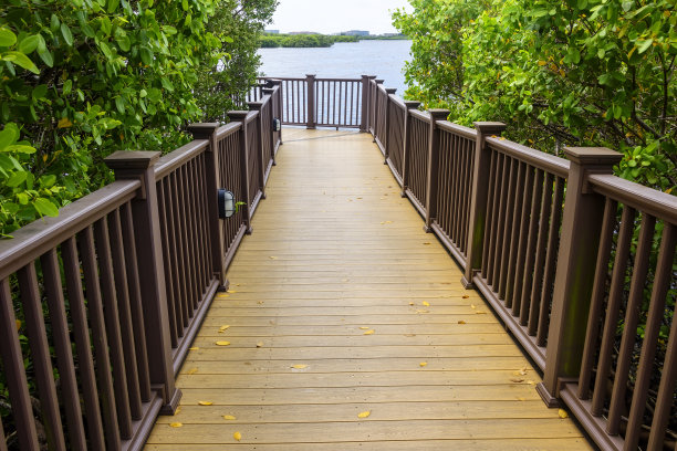 行人木径图片下载