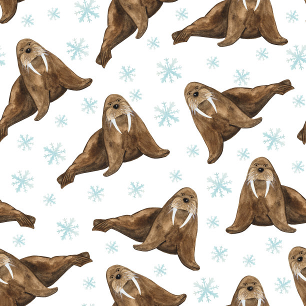 好的棕色海象在水彩图片下载