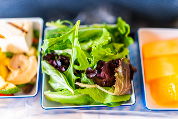 健康的素食vgml零食餐飞机上的甜点，切片橙子和绿色的新鲜沙拉宏观特写图片下载