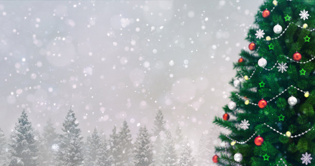 装饰圣诞树在冬天雪森林降雪，右侧特写图片下载