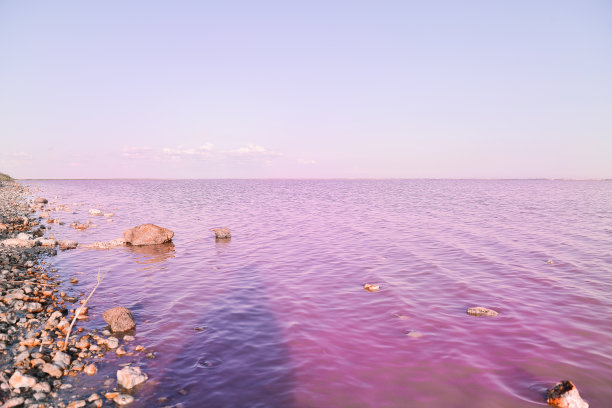 克里米亚萨塞克-西瓦什的粉色盐湖图片下载