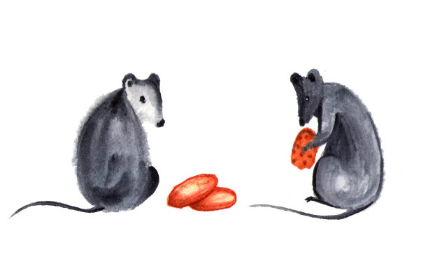 一套可爱的小老鼠或老鼠与小穗，奶酪和坚果。水彩孤立的插图。图片下载