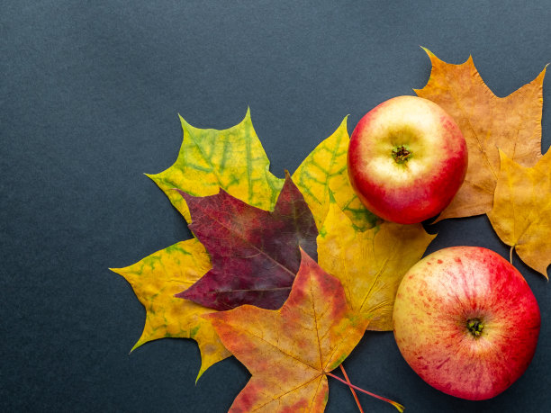 秋天的背景与红苹果，黄梨和秋天的叶子在一个白色的背景。带有文本空间的俯视图。图片下载
