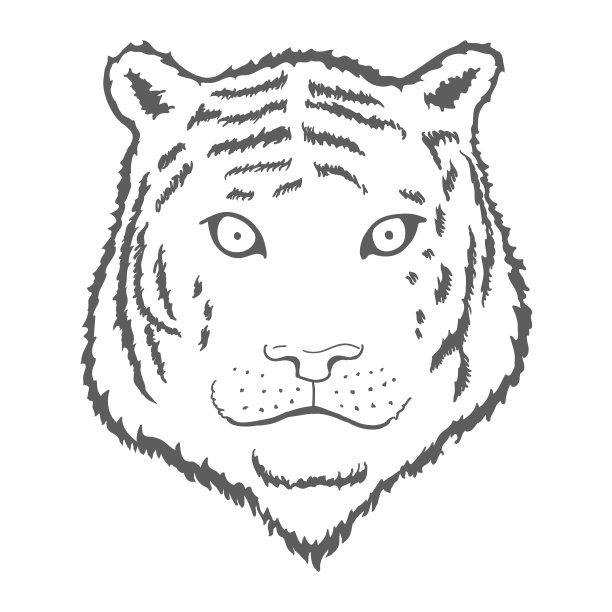 老虎的脸或头。手绘老虎头动物或捕食者孤立在白色背景。向量图片下载
