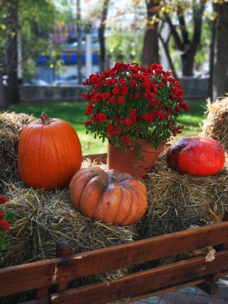装有南瓜装饰的木车图片下载