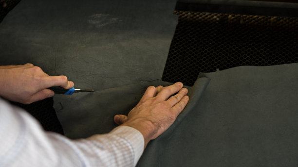 工作与人造革，副产品，毛坯图片下载