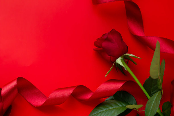 红丝带和玫瑰礼物的形象图片下载