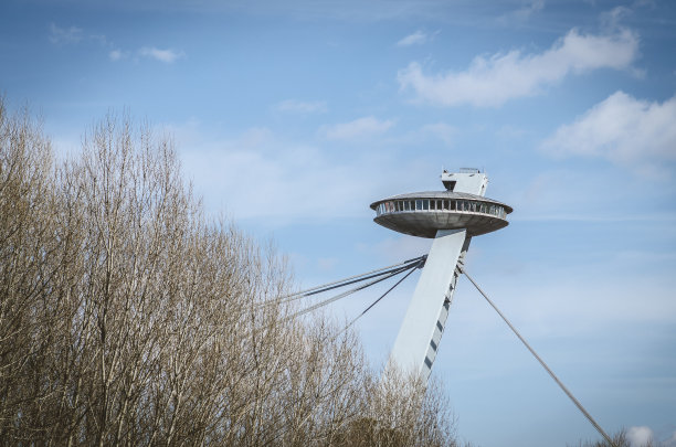 美丽的雪花莲花图片下载