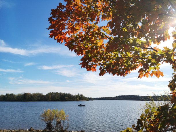 湖边的秋天景色图片下载