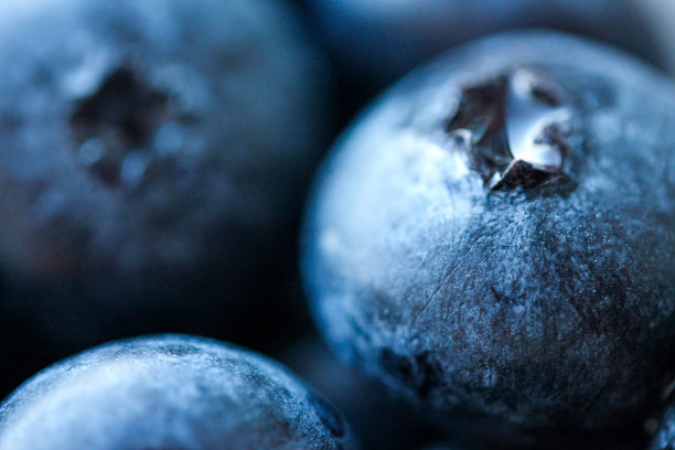 背景与新鲜的蓝莓特写图片下载