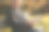 穿着灰色夹克，留着漂亮胡子的英俊爷爷坐在公园的长椅上读报纸。戴眼镜的白发老人图片下载