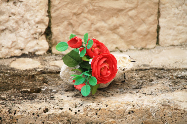 小红玫瑰在石头花盆里图片下载