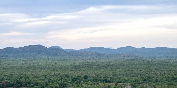 景观森林和山脉鸟瞰图从Sigiriya岩石，斯里兰卡，图片下载