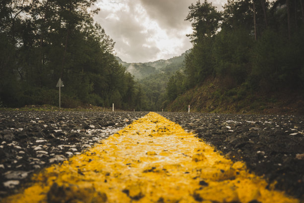 森林之间的乡村公路。靠近沥青路面的大气场景图片下载