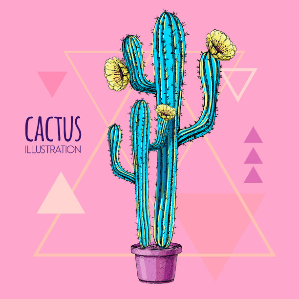 手绘蓝色荧光仙人掌矢量图在粉红色的背景图片下载