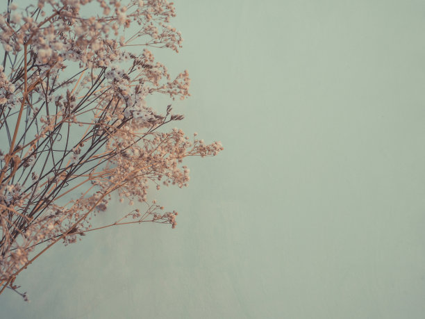 家用干花作室内装饰。粉彩背景上的干草和花与复制空间。复古和电影风格的照片。图片下载