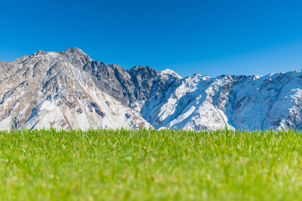 绿色的草地，雪山和清澈的蓝天在背景图片下载