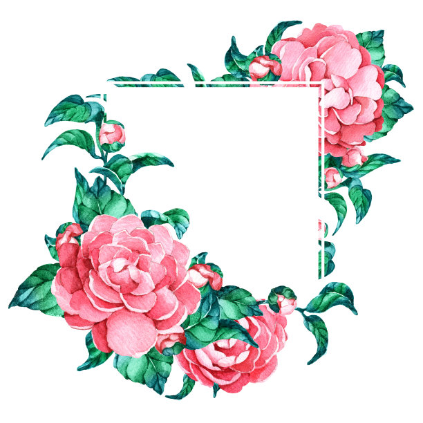 粉红茶花方框图片下载