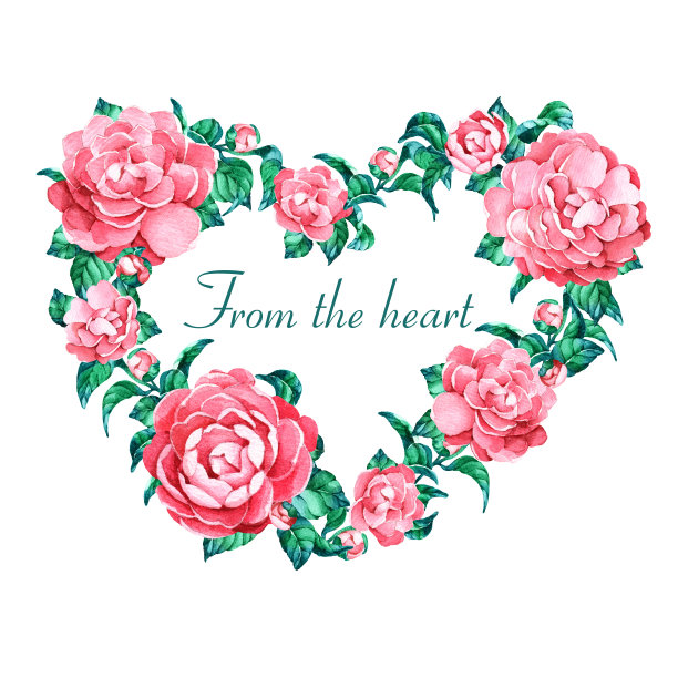 粉红色山茶花的心图片下载