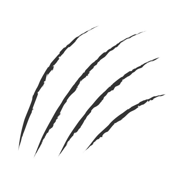 黑色的爪子动物抓刮的痕迹。猫虎抓爪形。四个指甲痕迹。有趣的设计元素。平面设计。白色背景。孤立。矢量插图。图片下载