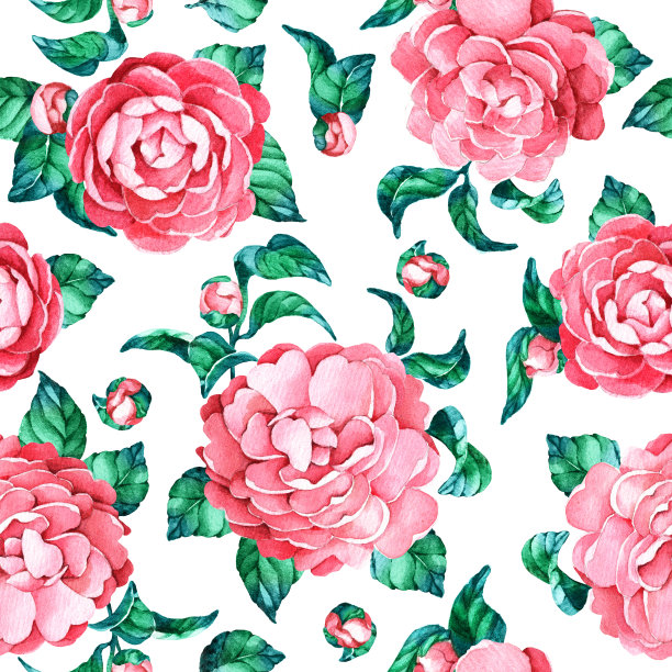 图案粉红色山茶花叶子图片下载