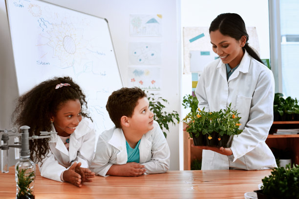 让我们来看看我们的小测验研究图片下载