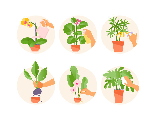 养花矢量规则图片下载