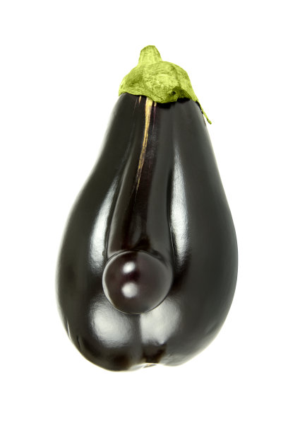 茄子用鼻子图片下载