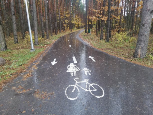 秋天的森林道路图片下载