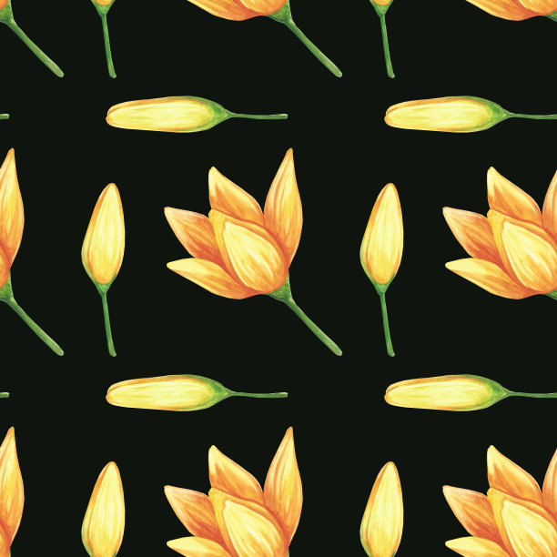 无缝水彩花卉夏季模式背景与热带棕榈叶。图片下载