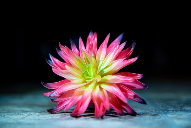 多汁的休息图片下载