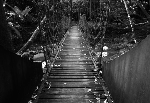 闹鬼的万圣节桥图片下载