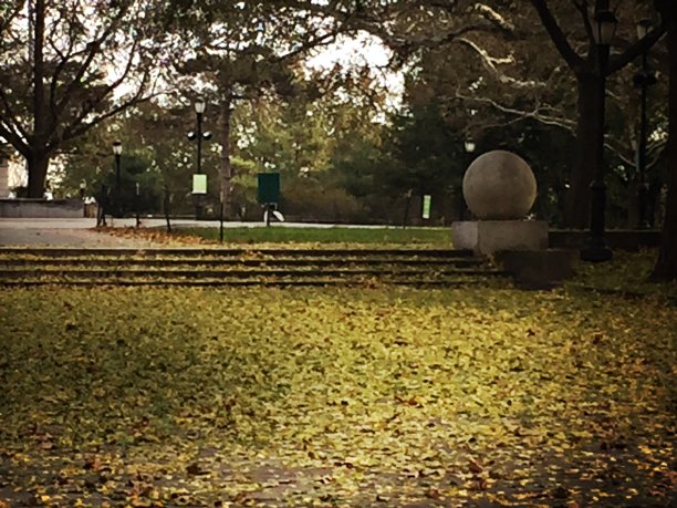 布鲁克林的城市公园图片下载