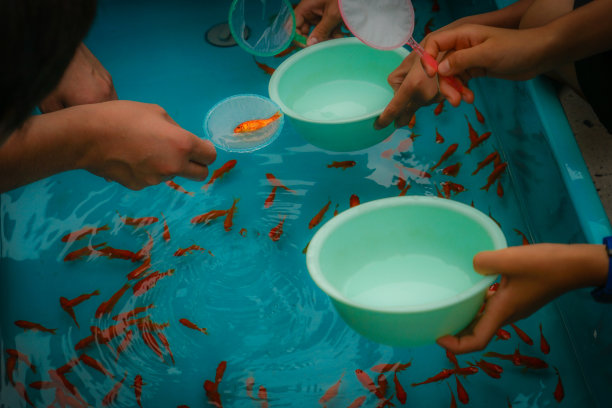 夏日祭捞金鱼图片下载