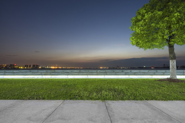 夜晚有城市天际线的草坪图片下载