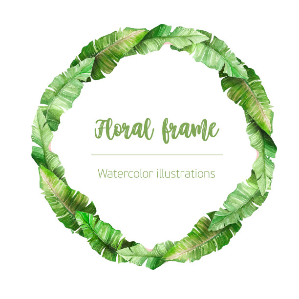 水彩花卉夏季元素与热带棕榈叶。图片下载